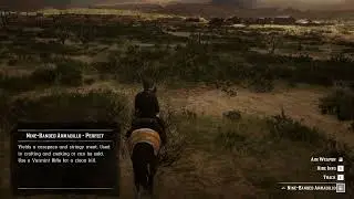 3. Nine Banded Armadillo location RDR2