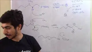Peterson Olefination    Questions for Practice