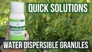 Quick Solutions: How to Use Water Dispersible Granules