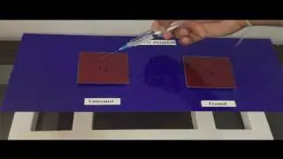 B-QUARTZ TEST