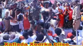 Furitaanka Munasibada Xeerka Ciise ee Magalada Deridawa