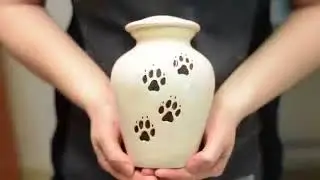 Home Euthanasia