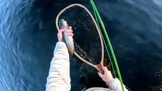 Flyfishing on Baum Lake, CA - 2/25/25