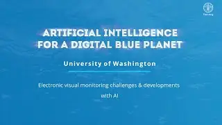 FAO AI4DBP Electronic visual monitoring challenges and developments with AI