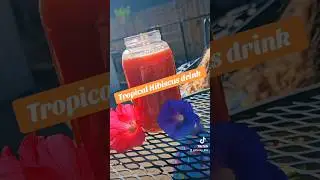 Tropical hibiscus #nontoxicliving #hydration #juice #skincare #selfcare #selflove