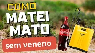 ESSE &eacute;  o Melhor MATA MATO Caseiro!! Randap  passa VERGONHA ! Esse mata tudo Mesmo  gastando pouco 💰