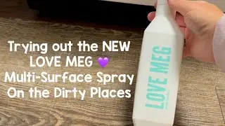 Love Meg 💜 multisurface  spray