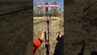 Smith and Wesson 15-22 suppressed with a Dead Air Mask HD