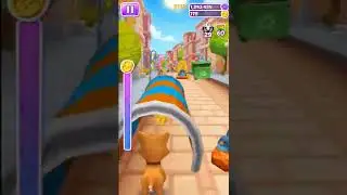 Pet Run🐭~Android gameplay video | 3D game video || game runway | gameplay video &radic;4Level #78 #shorts