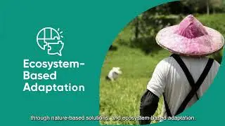 Nature-based solutions: the road to sustainability