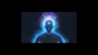 Квантовая интуиция: Шесть чувств
