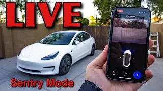 Sentry Mode Live &mdash; как это работает с Tesla Model 3