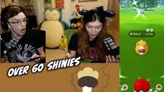 Shundo Queen: Lord Bidoof Adventures SHINY CHALLENGE over 60 in one week!