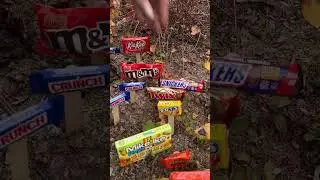 Candy Garden for #halloween #candygarden #happyhalloween