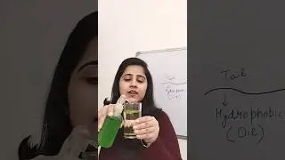 Cleansing action of Soap and Detergent | Micelle Formation #chemistry #experiment  #science #shorts