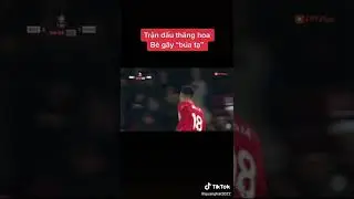 ti le ca cuoc anh duc:s率林自两海怎体我找解反集