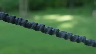 Joggingleine