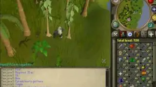 Runescape- Fastest way of getting woodcutting xp