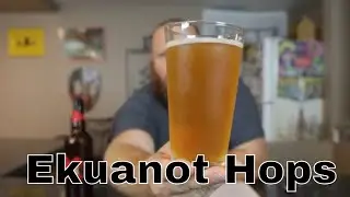 Ekuanot Hops Golden Promise Malt Smash Homebrew Tasting 1