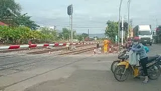 Ga sông mao 18