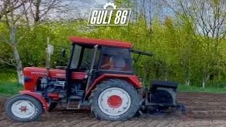 Ursus c 330# sadzarka do ziemniaków 💪