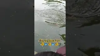 big size fish 🐟🐟🐟🐟.   #youtubeshorts #bigsize #bigsizefish