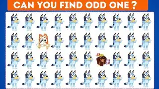 Find The Odd One Out Bluey & Bingo's Friends 😍🐶💙 edition | 30 levels