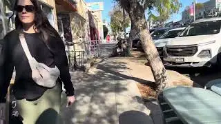 Pacific Beach Garnet Ave Stroll