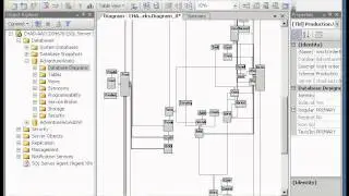 Investigating a Database Diagram.avi