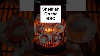 Sizzling Shellfish: Mastering BBQ Brilliance with Seafood Sensations | BBQ Butcher NZ