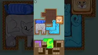 Funny Puzzle Cats 37 - Gameplay Walkthrough (iOS & Android) #shorts