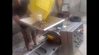 PRODEL AGRICOLA S.L. ALMAZARA 50 kg/h.