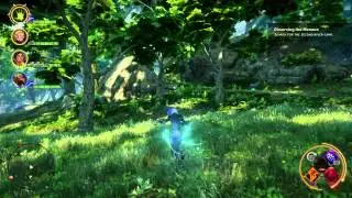 Dragon Age&trade;: Inquisition great bear
