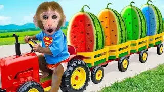 Monkey Baby Bon Bon Gets a Watermelon Truck on His Farm 🍉🐒🚜 #monkey #monkeybaby #animalshome