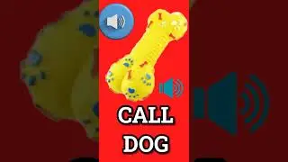 Sound to Call Dog #prankyourdog #barkingbliss #dogsound #squeaky
