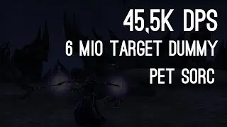 45,5k DPS 6mil Target Dummy Pet Sorc - Dragon Bones PTS