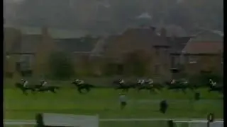 1985 Mackeson Gold Cup Handicap Chase