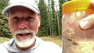 Day 3 of 10 Wallowas Solo 25 Aug-2021