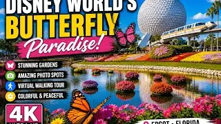 🇺🇸 Disney's Secret Butterfly Garden Epcot Orlando Florida 🇺🇸 VIRTUAL WALKING