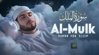 VID Jannah Al Mulk Hussam Al Maasabi