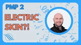 PMP2: Self-healing E-Skin?