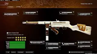 Warzone Rebirth Island Solo Win - Best MP40 Class (No Commentary)