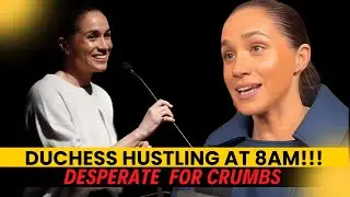 Duchess Hustling at 8AM for Sundance Crumbs