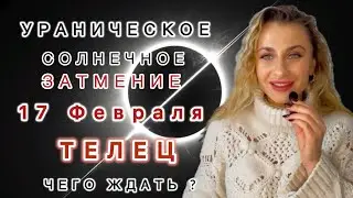 TAURUS ♉️ 17.02🌑URANIC SOLAR ECLIPSE - What to expect? IRYNA SUN