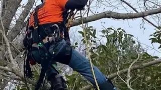 SOB Climbing Harness, Thicken Widen Protect Waist Safety Harness for Arboris