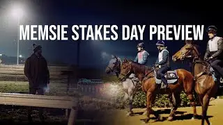Victoria’s First Group 1 of the Season | Memsie Stakes Insights