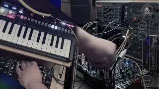 Jamuary 2026: #17 | VaryNoise | The whole band  #jamuary2026