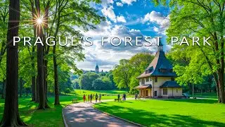 Walking Through Prague&rsquo;s Forest Park | Peaceful Nature Escape