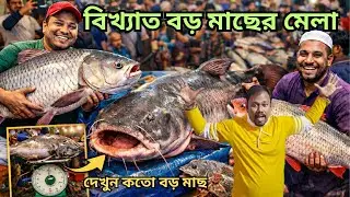 ব্যান্ডেল উত্তারায়ন মাছের মেলার 500 বছরের রহস্য উদঘাটন