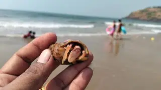 #kudlebeach #gokarna #karnataka #trending 